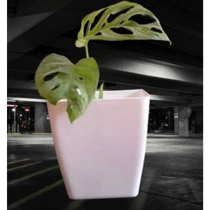 5 Inch Multicolour Blossom Pot / Square Plant Pot / Planter For Decoration of Home Office Desk Garden - 5 inch Indoor Outdoor Flower Pot