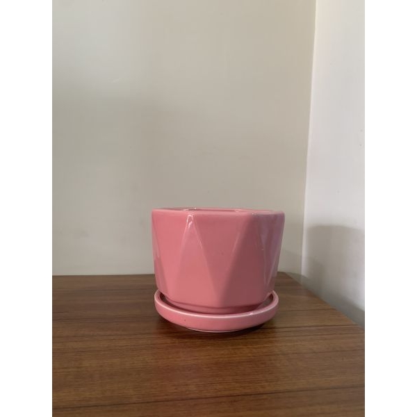 5 Inch Cute Ceramic Pot For succulents - Image 4