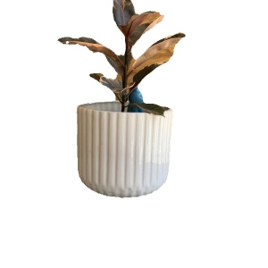 8 Inch White Cylindrical Ceramic Pot For Indoor Outdoor Garden