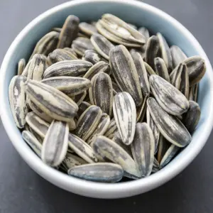 Sunflower Russian Giant Seeds 1 Packet Loose 10 Plus Seeds