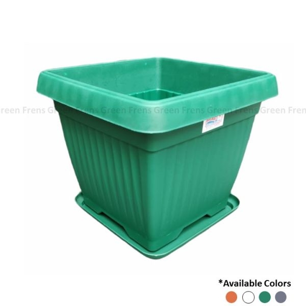 3 Pcs Beautiful Square Planter 8" ( With Plate ) For Indoor And Outdoor Garden - Image 2