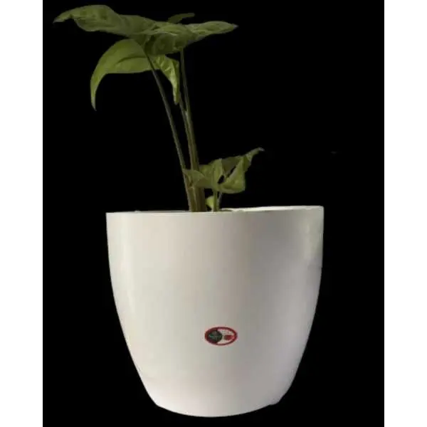 8 Inch Cool Flower pot / Planter For Indoor Outdoor Garden - Image 2