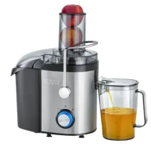 800W Stainless Steel Juice Extractor