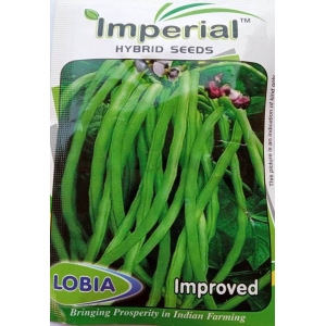Vegetable Seeds - 1 Packet Cowpea Lobia Seeds 10 Gram - Bodi Seeds