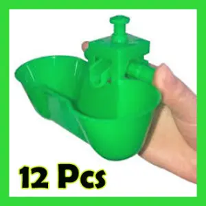 Double Cup Green Drinker