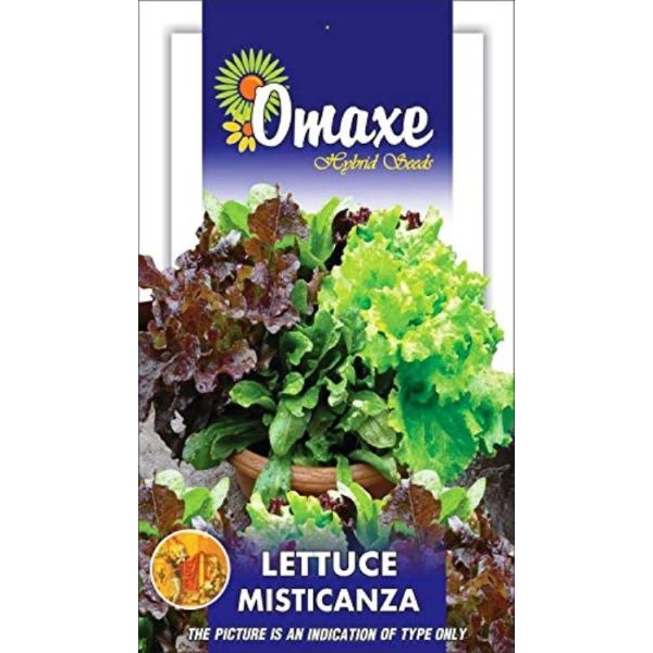 6 Types Of Lettuce Seeds Mixed 120 Plus Seeds (Lettuce Imported Mix (Misticanza) Exotic Seeds) - Image 2
