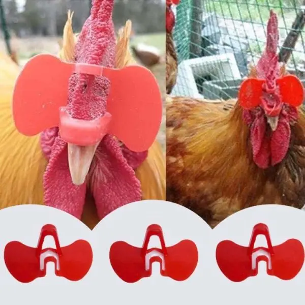 Chicken/Pheasant Eye Blinder For Anti Bite 100 Pcs Pinless - Image 3