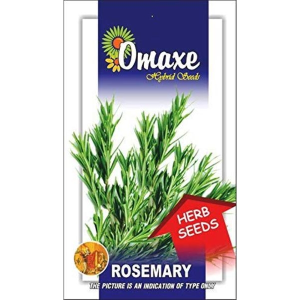 20+ Loose Packed Seed Of Rosemary Herb Seeds Kitchen Garden Use - Image 4