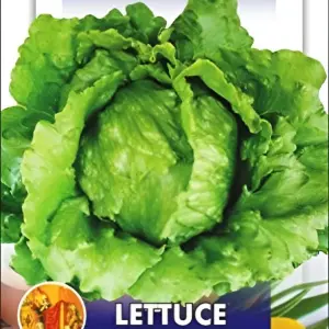 Lettuce Seeds - Lettuce Iceberg SALISTA 25+ Seeds Loose Packed