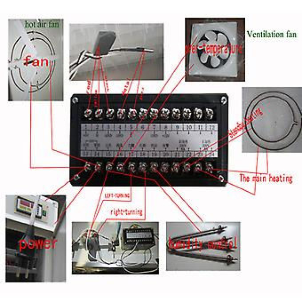 Xm-18 Incubator Controller For Hatching And Making Incubator - Image 2