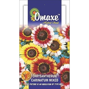 Chrysanthemum Carinatum Sunshine Mix Home Garden Flower Seeds Gorgeous Color (100 Plus Seeds)