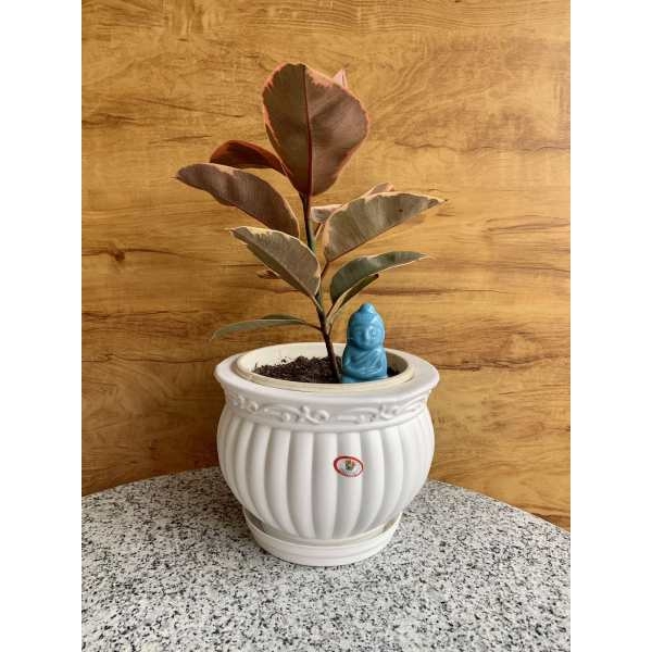 Kanha Matki 8 Inch Flower Pot / Planter ( With Plate ) For Indoor Outdoor Garden - Image 4