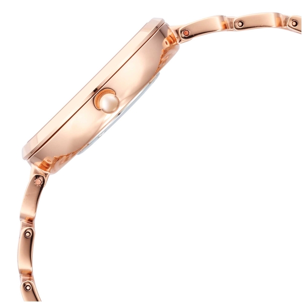 Titan Raga Brown Dial Rose Gold Metal Strap Analog Watch for Women - Image 3