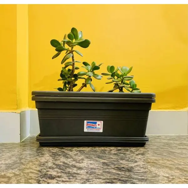 2 Sets Of Rectangular Plastic Flower Pot 6 * 15 Inches With Tray - Image 3