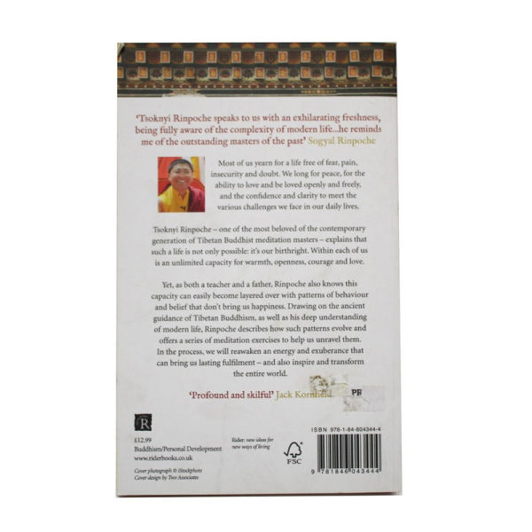 Open Heart, Open Mind - Buddhism Tsoknyi Rinpoche - Image 2