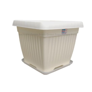 3 Pcs Beautiful Square Planter 8" ( With Plate ) For Indoor And Outdoor Garden