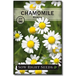 20+  Chamomile Herb Seeds, Can Grow All Over Nepal