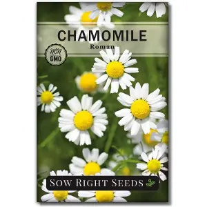 20+ Chamomile Herb Seeds, Can Grow All Over Nepal