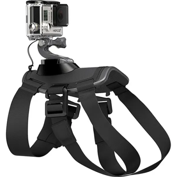 GoPro Fetch - Image 2
