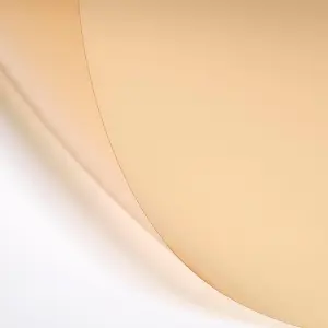 LEE Filters 206 Quarter CT Orange Lighting Gel