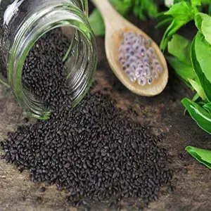 Basil Seeds 200 gm