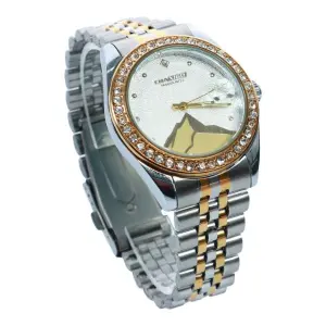 New Fande Dress Women Analog Stainless steel Watch For Women NF6673G