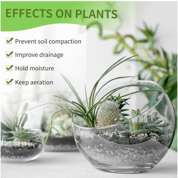 500 GM Perlite For Plants And Gardening To Promote Root Growth And Soil Health | Improves Soil Compaction - Image 4
