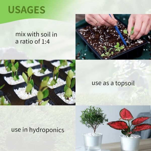 500 GM Perlite For Plants And Gardening To Promote Root Growth And Soil Health | Improves Soil Compaction - Image 5