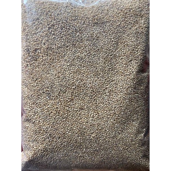 Quinoa Seeds 500 gm - Image 3