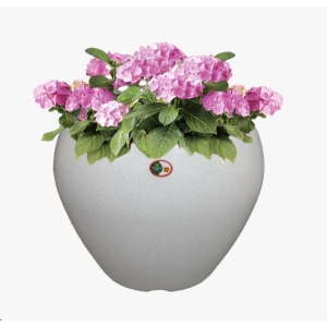 6 Inch White Apple Shape / Oval Shape Flower pot