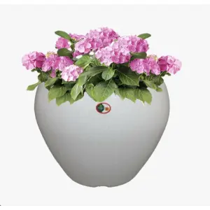 6 Inch White Apple Shape / Oval Shape Flower pot
