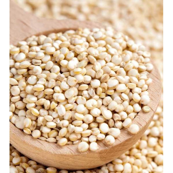 Quinoa Seeds 500 gm - Image 2
