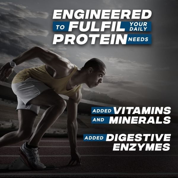 Bigmuscles Essential Whey Protein Powder 1Kg Dutch Chocolate 24g Protein 20 Servings - Image 4