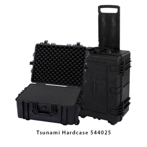 Tsunami. Case 544025