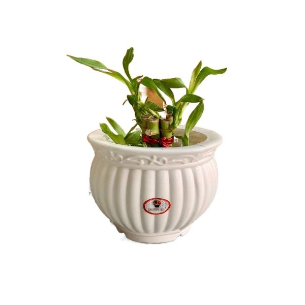 Kanha Matki 5 Inch Flower Pot For Indoor Outdoor Garden | Break Resistant Fade Resistant Flower Pot - 5 Inch - Image 2