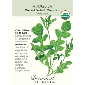 20+ Seeds Rocket Rucola Arugula Cultivated Imported Exotic Seeds Kitchen Garden