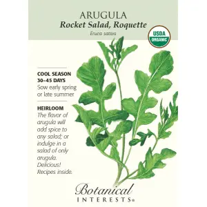 20+ Seeds Rocket Rucola Arugula Cultivated Imported Exotic Seeds Kitchen Garden
