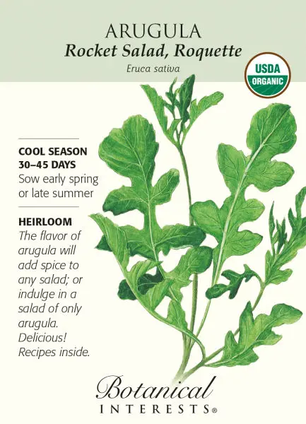 20+ Seeds Rocket Rucola Arugula Cultivated Imported Exotic Seeds Kitchen Garden