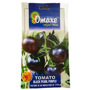 TOMATO Seed - 1 Packet TOMATO BLACK PEARL PURPLE Omaxe Seeds By Savyata Stores For Kitchen Garden