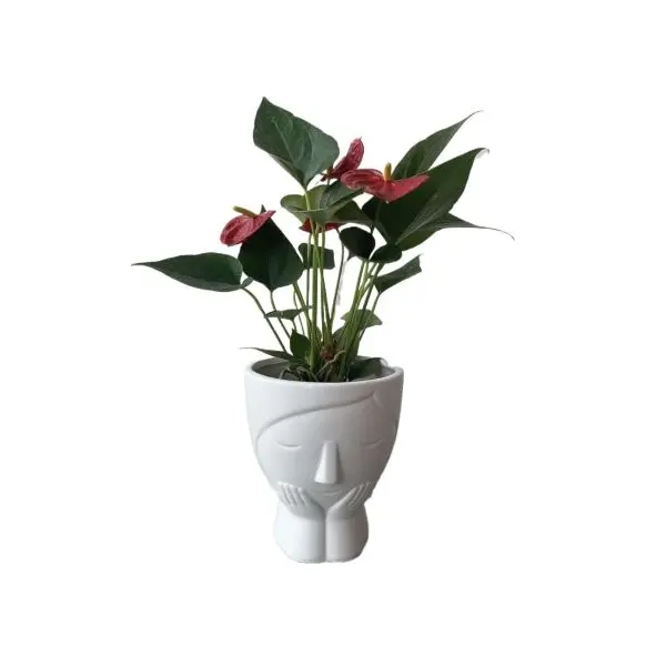 5 inch Elegant ceramic Face Planter Perfect For Desktops , Windowsills Or Coffee Tables - Image 2