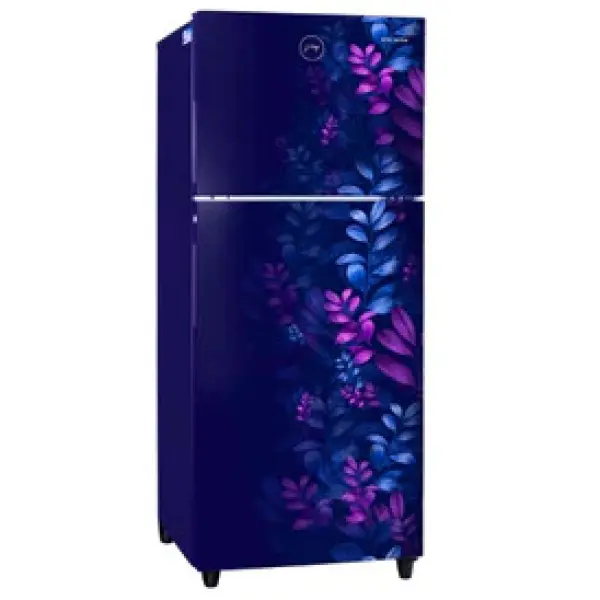 Godrej 258 Liter Double Door Refrigerator - Image 2