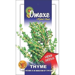 1 Packet Thyme Omaxe Seeds Thyme Herb Herb Seeds Kitchen Garden Packet