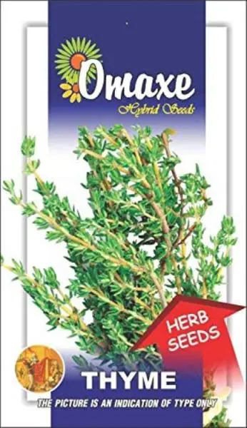 1 Packet Thyme Omaxe Seeds Thyme Herb Herb Seeds Kitchen Garden Packet