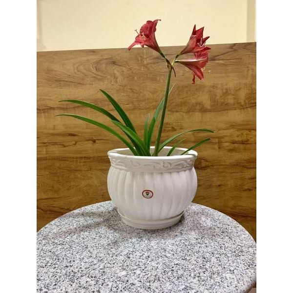 Kanha Matki 12 Inch Flower Pot ( With Plate ) For Indoor Outdoor Garden - Image 4