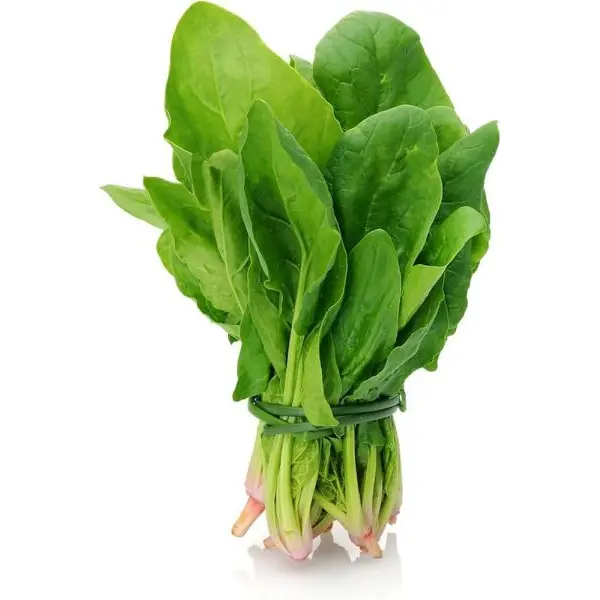 Vegetable Seed - 1 Packet F1 HYBRID SPINACH Omaxe Seeds By Savyata Stores For Kitchen Garden - Image 3