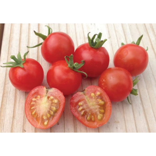 Sweetie Cherry Tomato Seeds 40 Seeds - Image 2