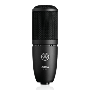 AKG P120 High-Performance General Purpose Recording Microphone