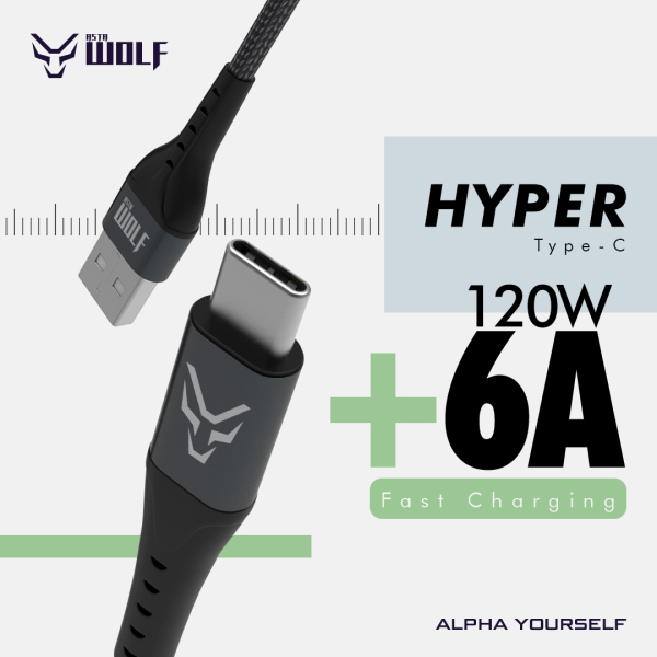 Asta WOLF Hyper | USB to Type C | 100cm Braided | Flexible | Ultra Fast Charging Data Cables | 6A Current | 120W Output | - Image 3