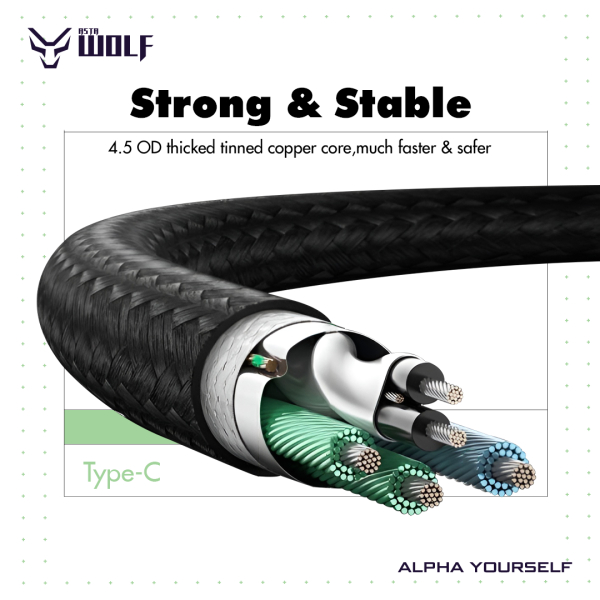 Asta WOLF Hyper | USB to Type C | 100cm Braided | Flexible | Ultra Fast Charging Data Cables | 6A Current | 120W Output | - Image 5