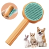 automatic pet cleaning brush.1